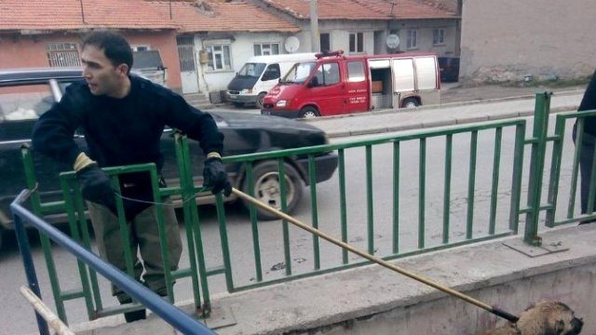 Kütahya\'da Kanala Düşen Köpeği İtfaiye Erleri Kurtardı