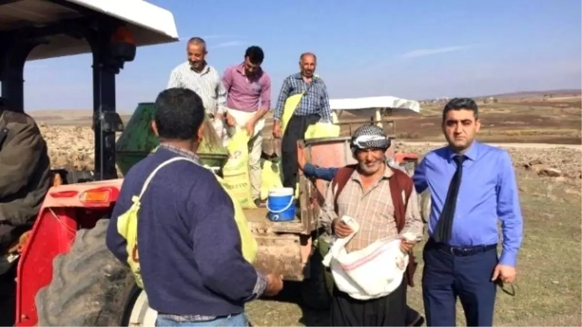 Kilis\'te Meralara İlkbahar Gübresi Atıldı