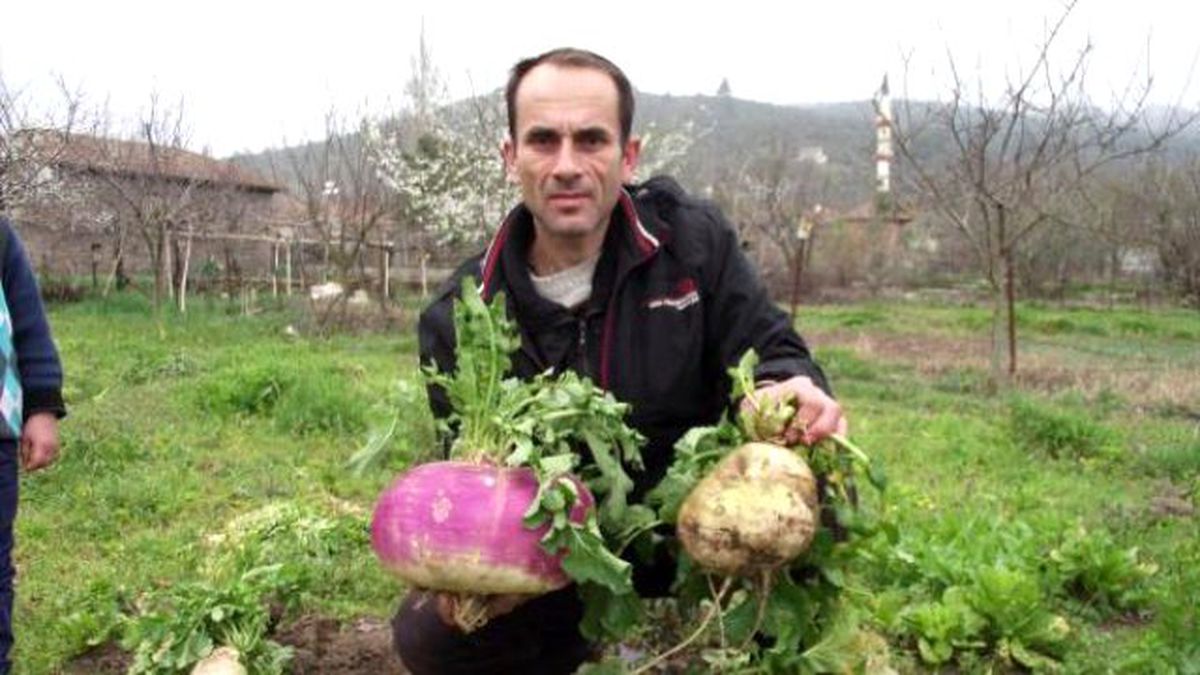 4 Kilo 620 Gramlık Turp Şaşırttı