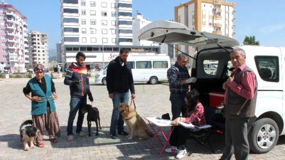 Kumluca\'da Kedi ve Köpeklere Kuduz Aşısı Yapıldı