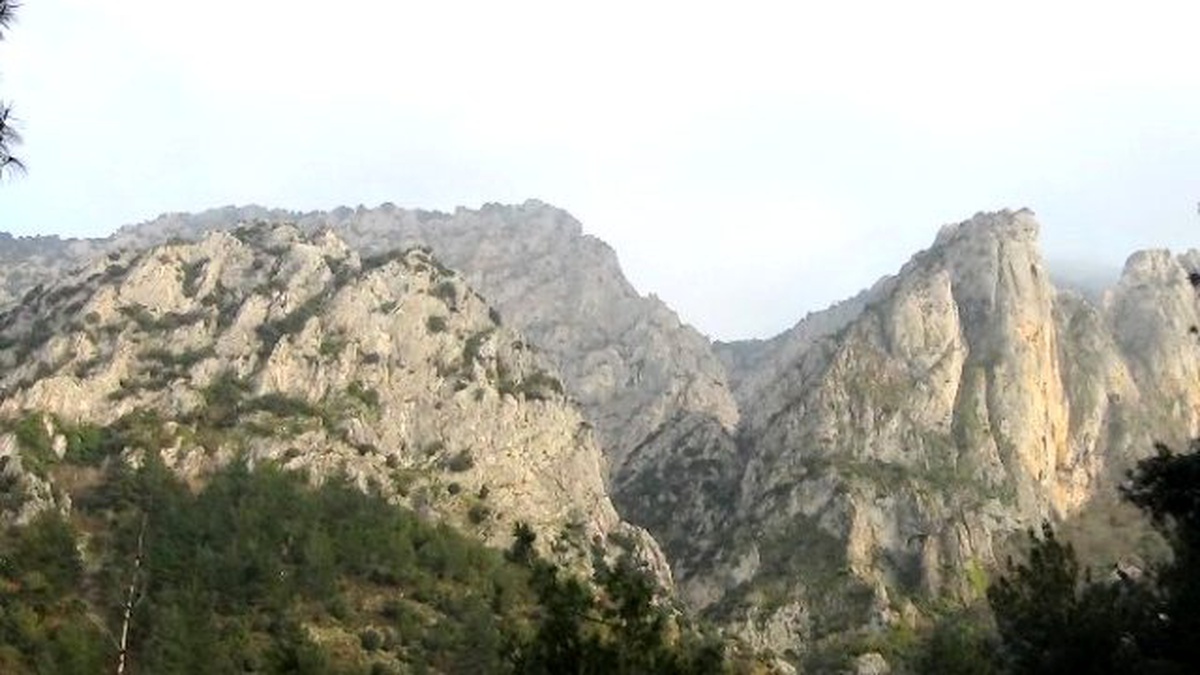 Akut\'tan Nefes Kesen Kurtarma Operasyonu