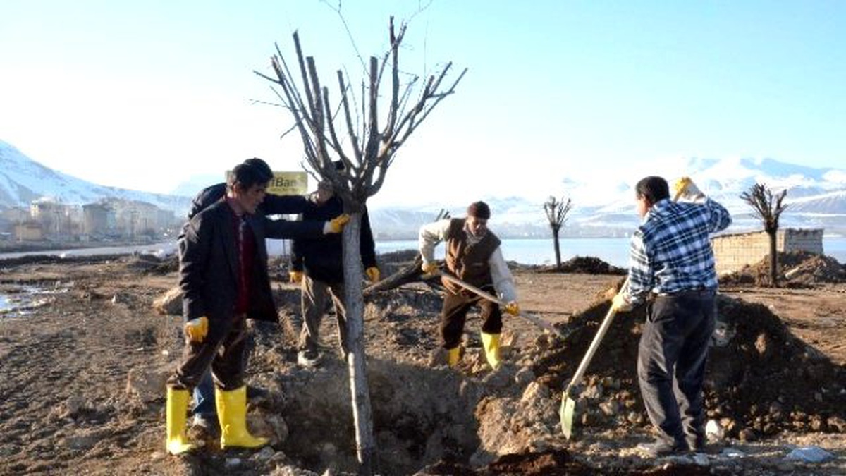 Tatvan Belediyesi Van Gölü Kıyısına Mesire Alanı Yapacak