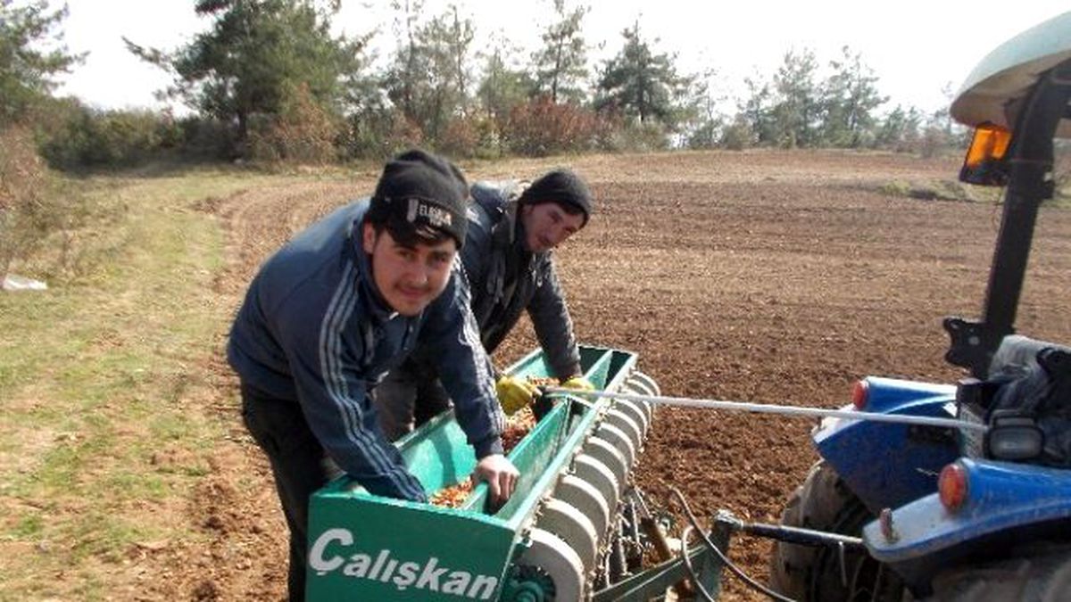 Üreticinin Umudu Soğan