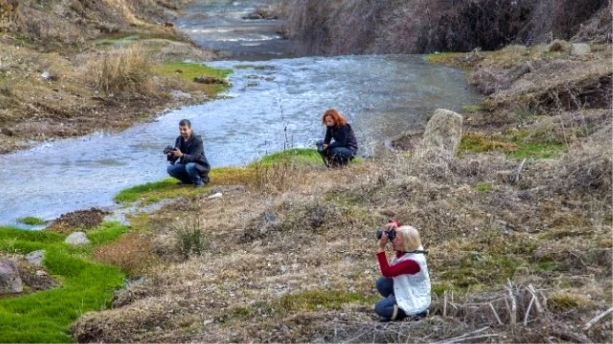 Ahlat, Fotoğrafçıların İlgi Odağı Oldu