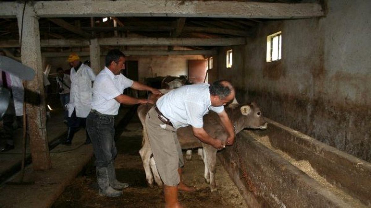 Aşılama Kampanyaları Başladı