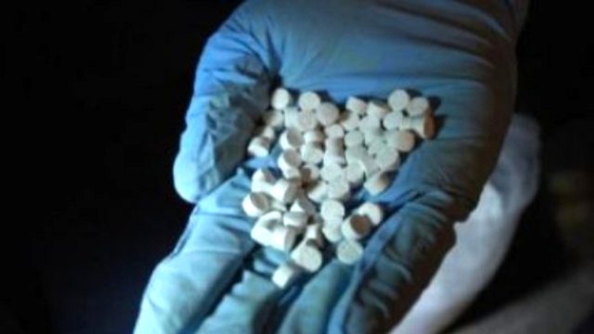 Aydın\'da Uyuşturucu ve Kaçakçılık Operasyonları