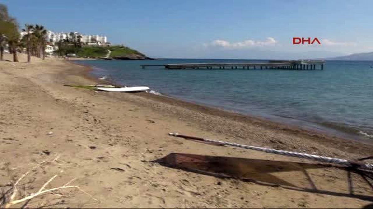 Bodrum Köpeğin Sörf Keyfi
