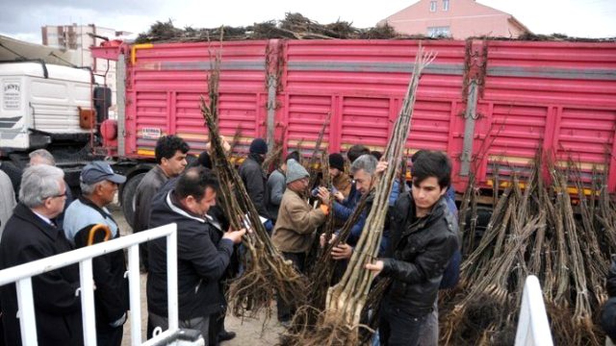 Karaman\'da Çiftçilere Meyve Fidanı Dağıtıldı