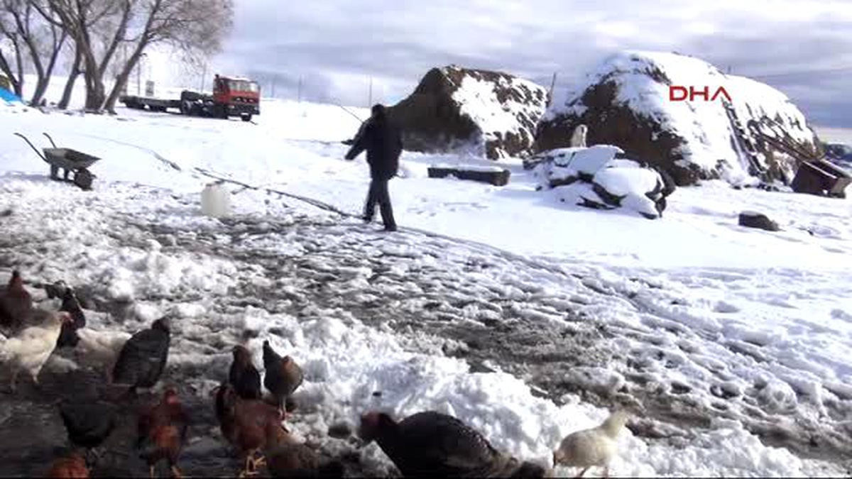 Kars 92 Yaşındaki Arslan Dedenin Sağlıklı Yaşam Sırrı, Hayvansal Ürünler