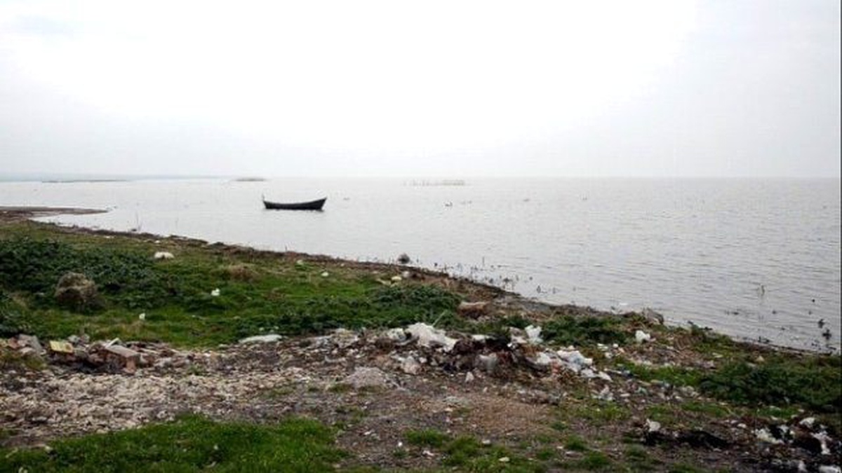 Kuluçka Dönemindeki Pelikanlar, Köy Yakınlarında Avlanıyor