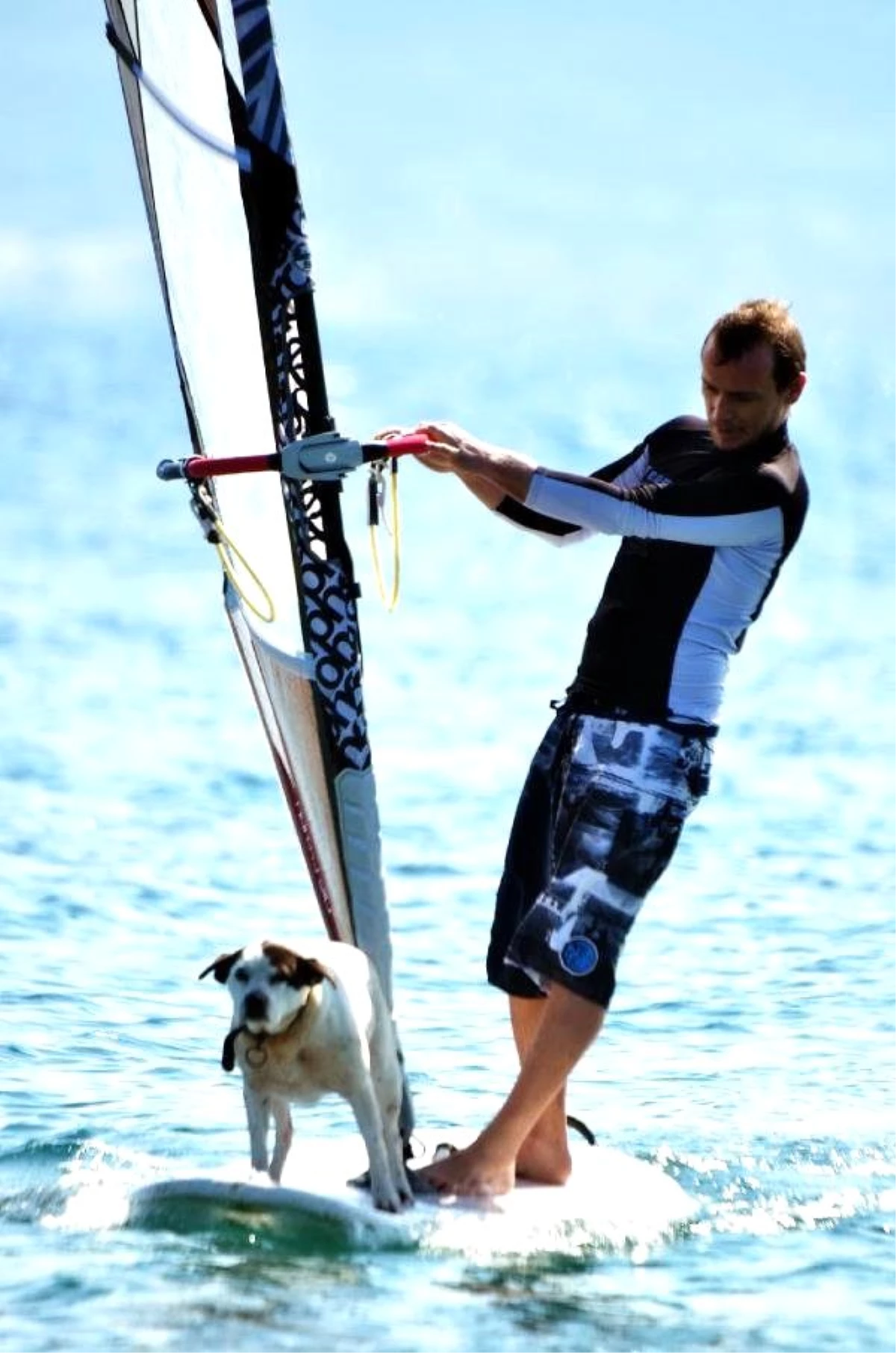 Muğla, Sörf Yapan Köpeği ve Sahibini Konuşuyor