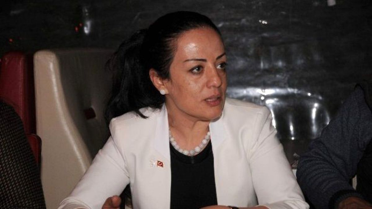 AK Parti Aday Adayı Aras\'ın İddialı Dört Projesi