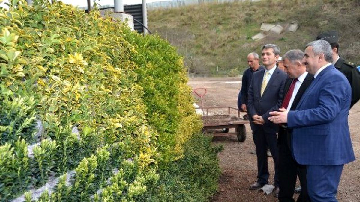 Başkan İsmail Baran Serayı Gezdi