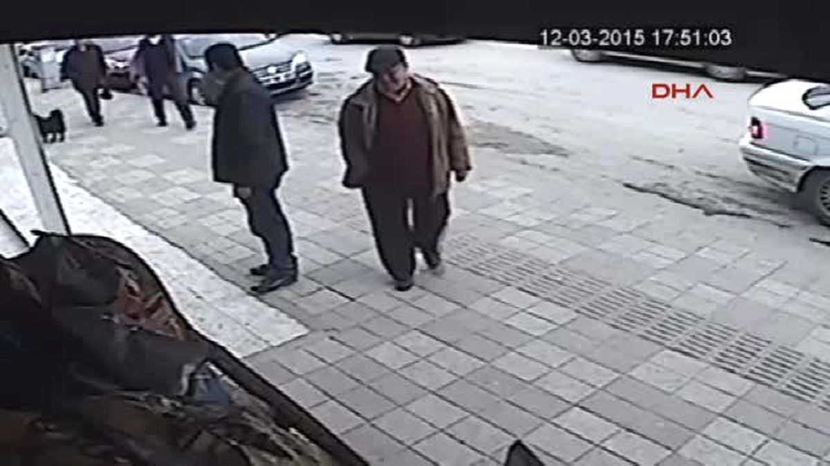 Cips Tutkunu Köpek Büfe Sahibini Bıktırdı