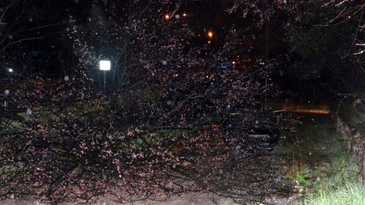 Sakarya\'da Yoldan Çıkan Otomobil Takla Attı: 5 Yaralı