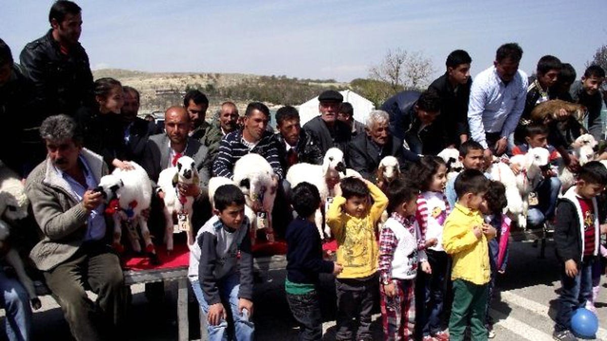 Kuzu Yarışması İçin Müracaatlar Başladı