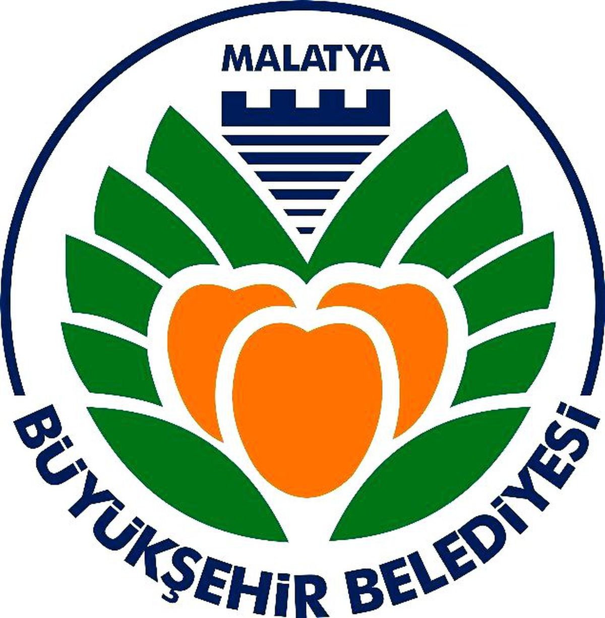 2015 Yılı Sodes Uygulamaları Başladı