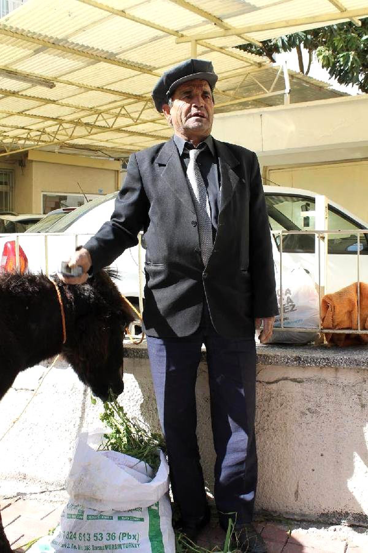 Bağımsız Milletvekili Adayı Eşekle Dolaşıp Oy İstiyor