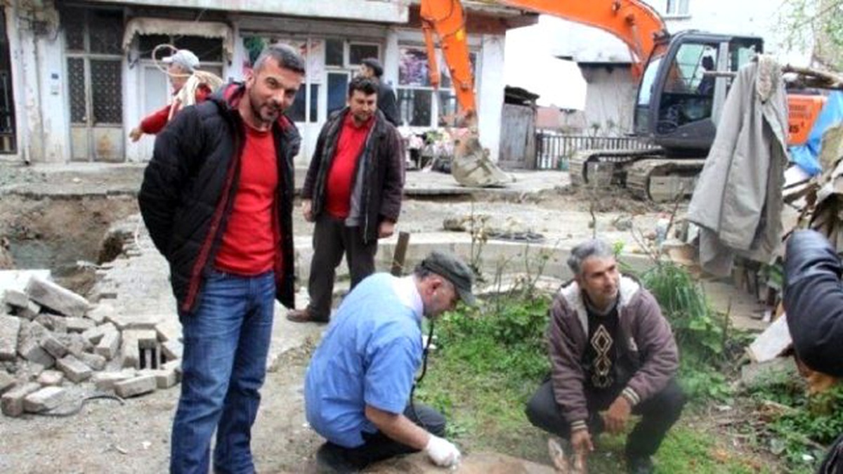 Köpekler Yavru Karacaya Saldırdı