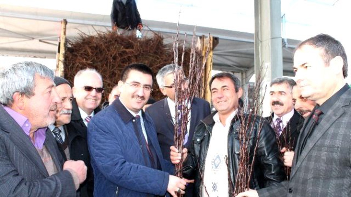 Vali Kılıç, Üreticilere Elma Fidanı Dağıttı