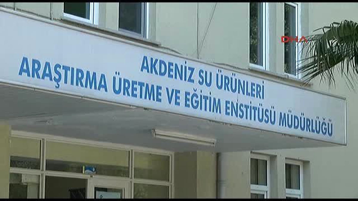 Antalya\'da Yeni Bir Bir Balık Türü Keşfedildi