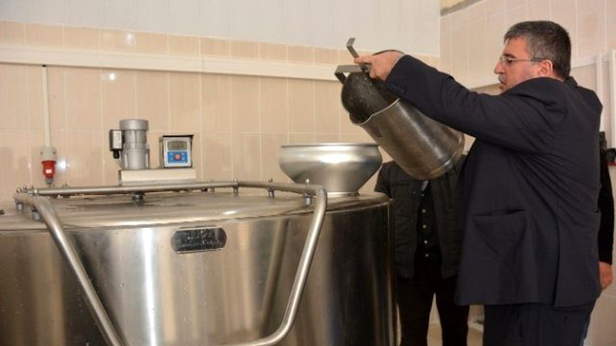 Yunusemre, Yuntdağı\'nda Süt Toplama Merkezleri Oluşturdu