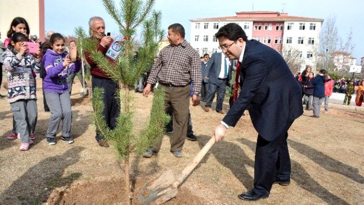 Aksaraylı Şehitlerin Adına Çam Fidanı Dikildi
