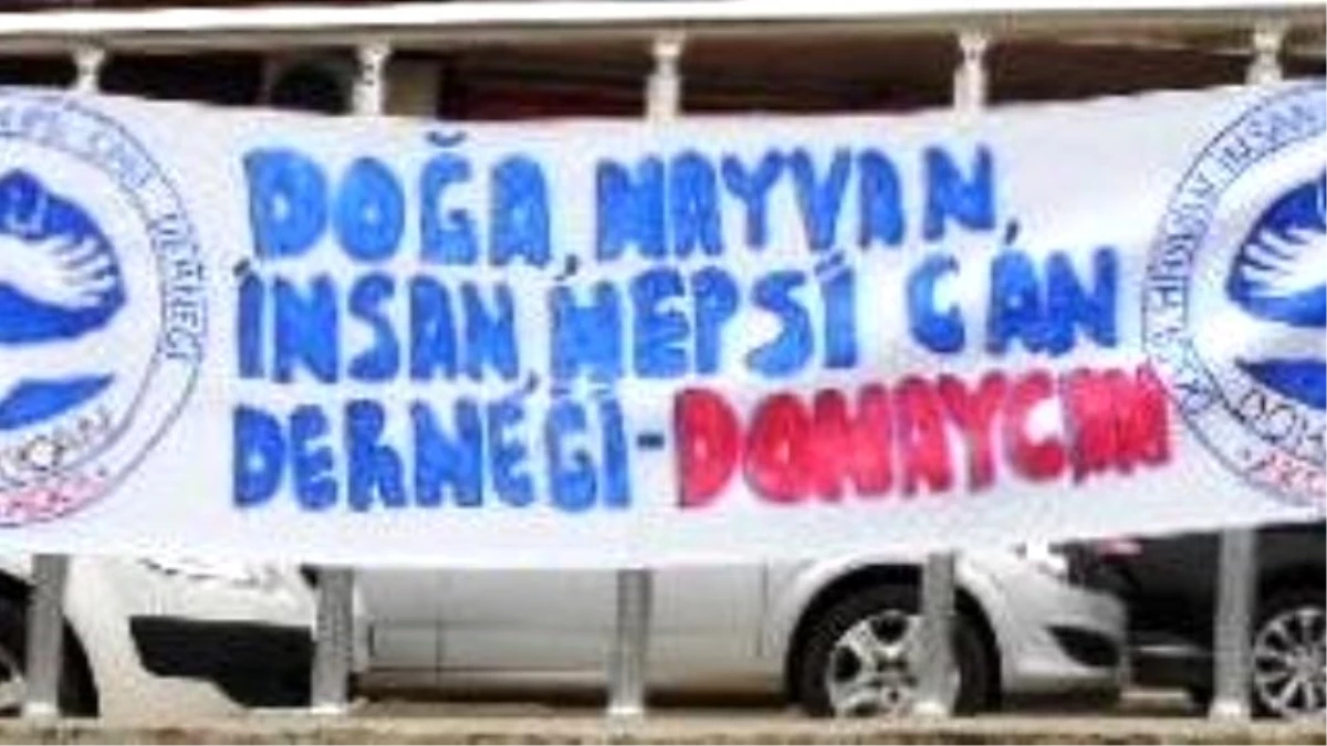 Dohaycan Derneği Akçakoca\'nın Yaşlı Dostu Kenti Olmasını İstiyor