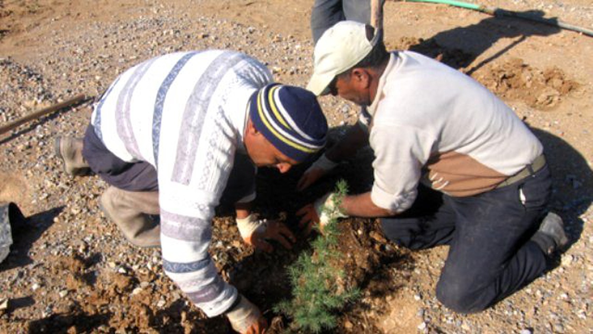 Hakkari\'de 500 Kişi İstihdam Edilecek