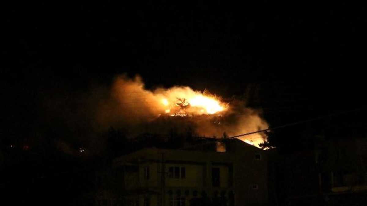 Hatay\'da Çıkan Orman Yangınında Bir Mahallede Evler Boşaltıldı