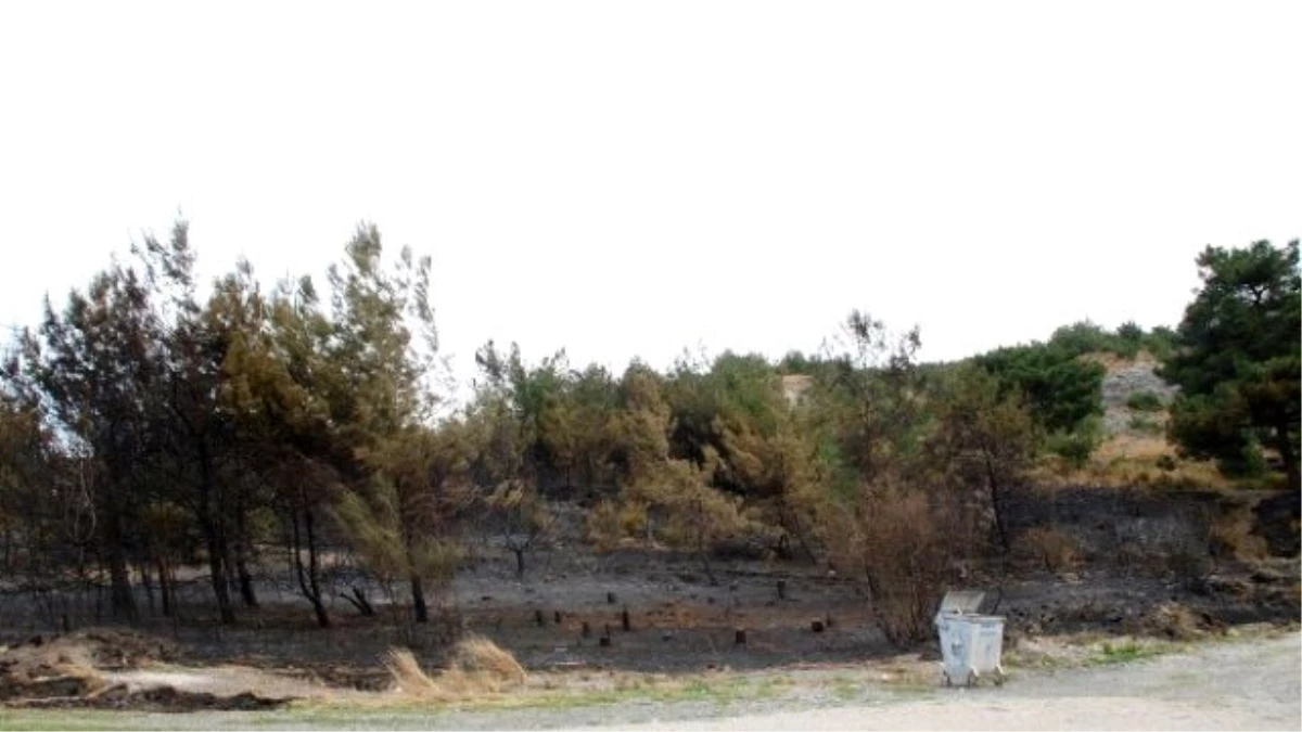 Hatay\'daki Mahalle Boşalttıran Orman Yangını