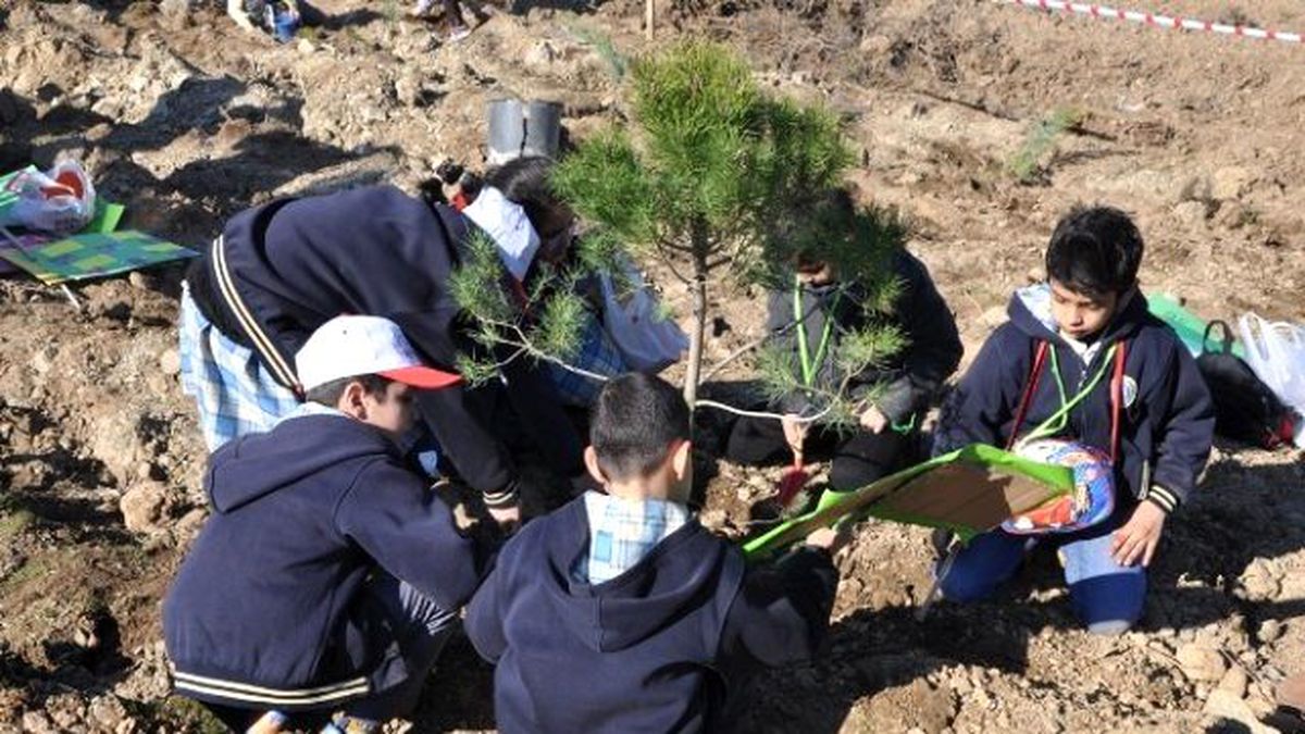 Orman Haftası Fidan Dikimi ile Başladı