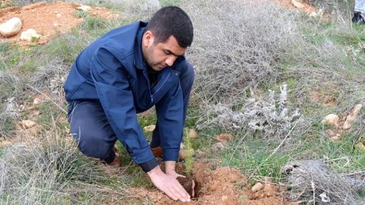 Semerkand Malatya Vakfı, Fidan Dikti