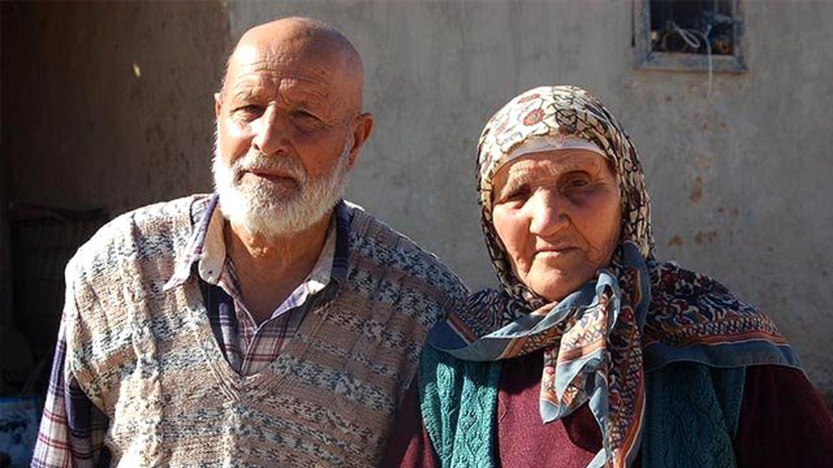 Urfa\'da 218 \'Asırlık Çınar\' Bulunuyor