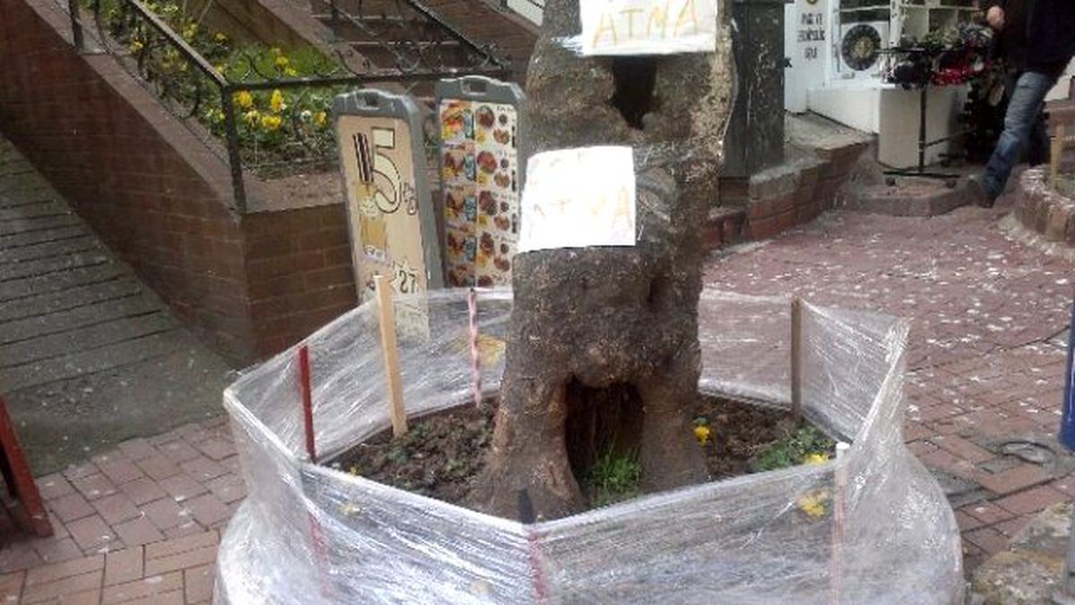 Asırlık Çınara, Vatadandaşlardan Çöp Önlemi