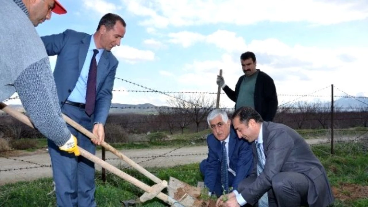 Battalgazi Belediyesi 100 Bin Fidanı Toprakla Buluşturacak
