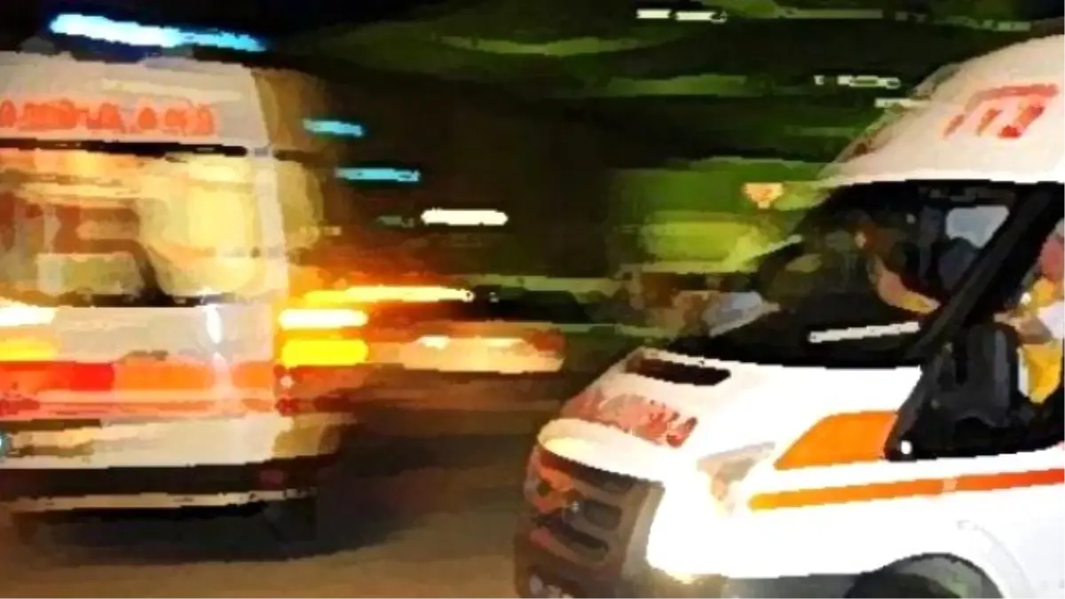Erzincan'da Domuz Gribi Can Aldı