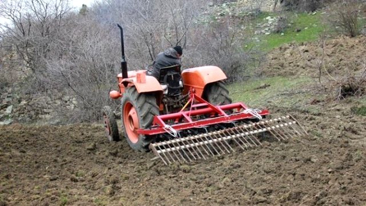 Gümüşhane\'de Yaban Hayatı İçin Nadastaki Tarlalar Ekiliyor