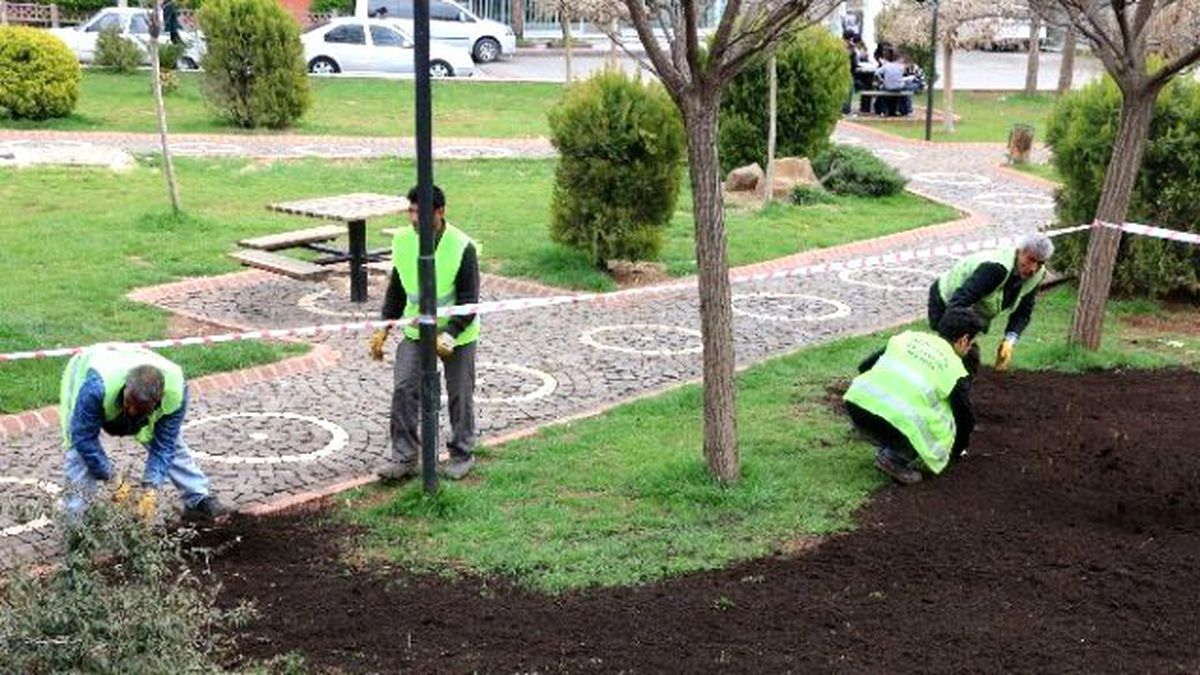 Haliliye\'deki Parklar Yemyeşil Olacak