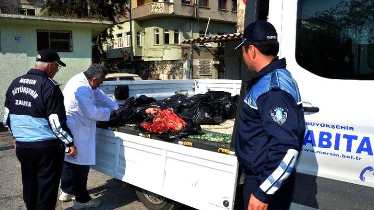 Mersin\'de 200 Kilo At Eti Ele Geçirildi