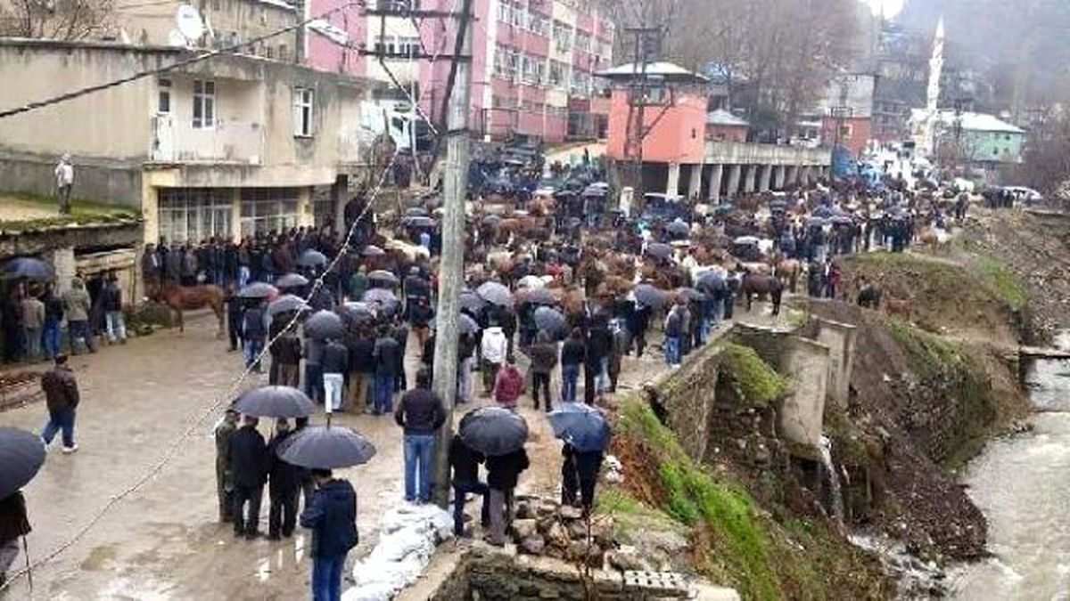 Uludere\'de 57 Katır İçin İmha Talebini Katırlarla Protosto Ettiler
