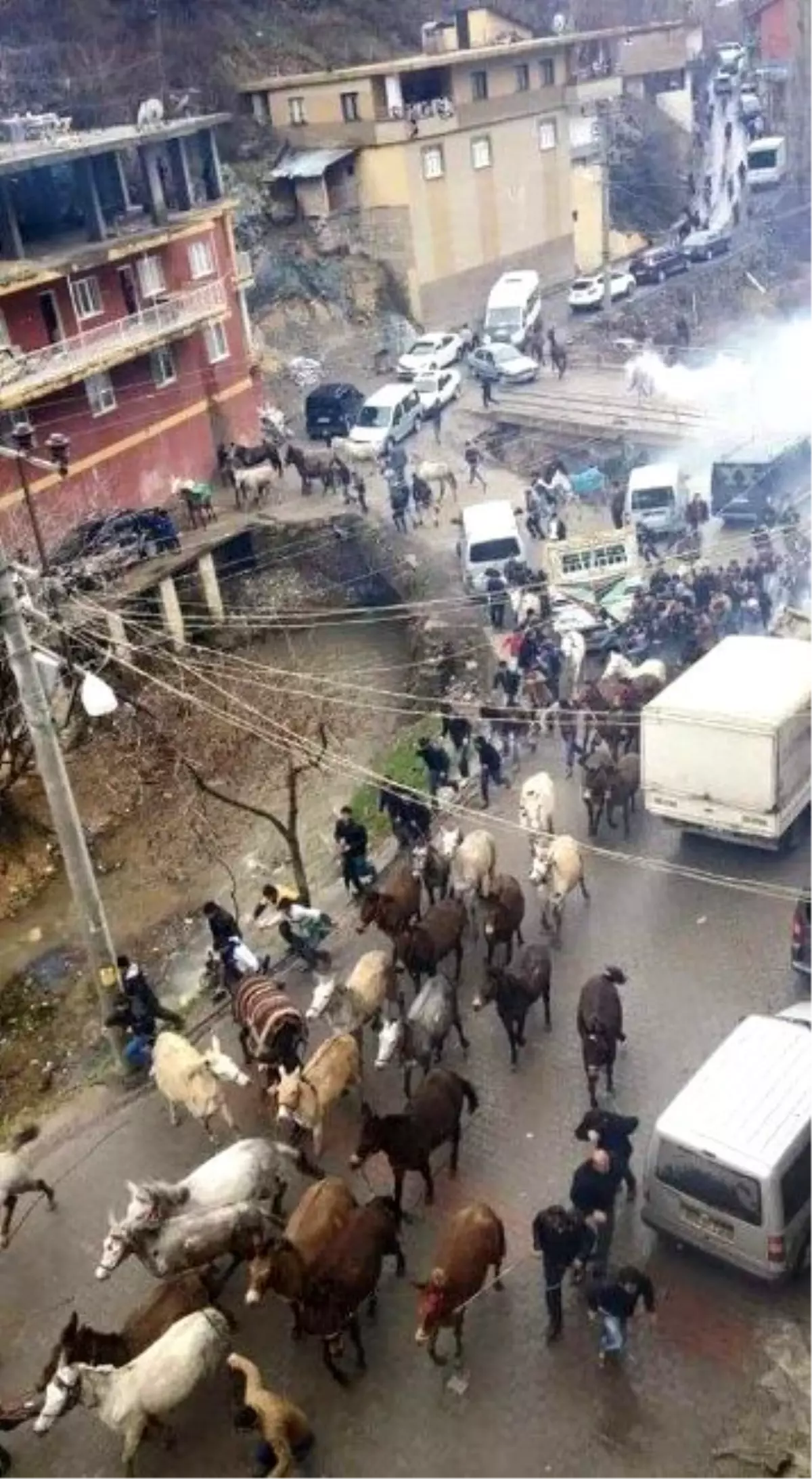 Uludereliler Katırlarla Kaymakamlığa Yürüdü