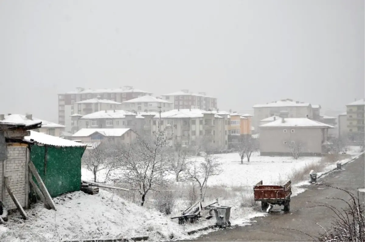 Erken Tomurcuklanan Kayısı Ağaçları Kardan Olumsuz Etkilendi