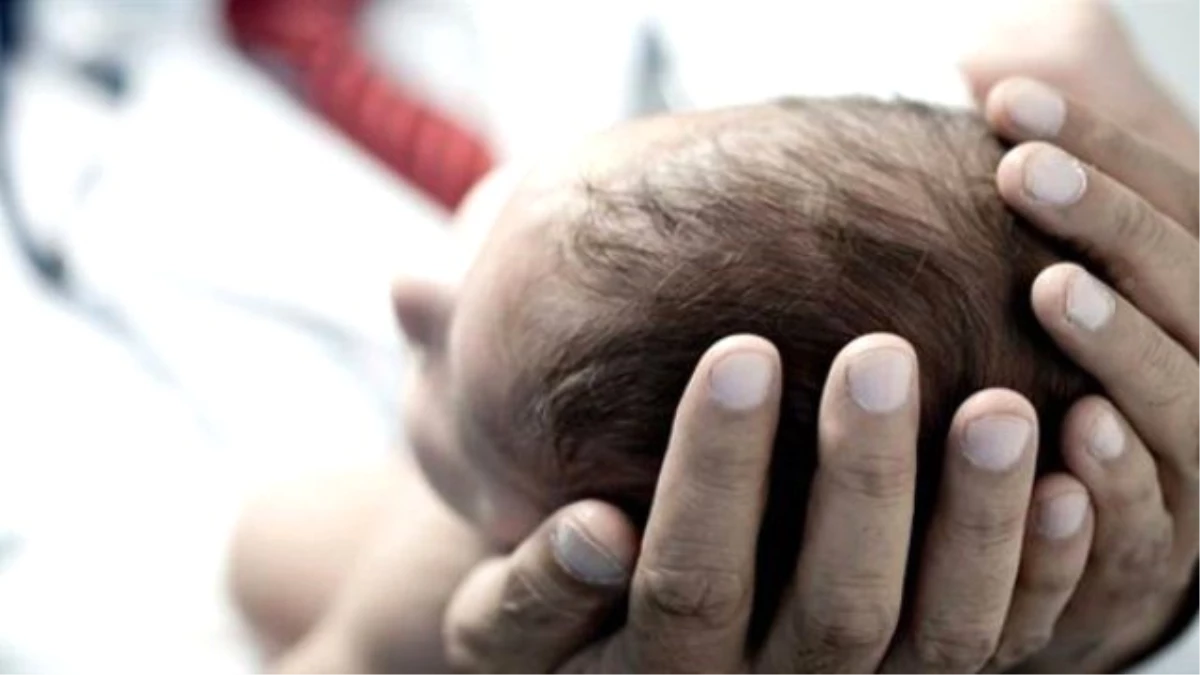 Fransa\'da Derin Dondurucuda 5 Bebek Cesedi Bulundu