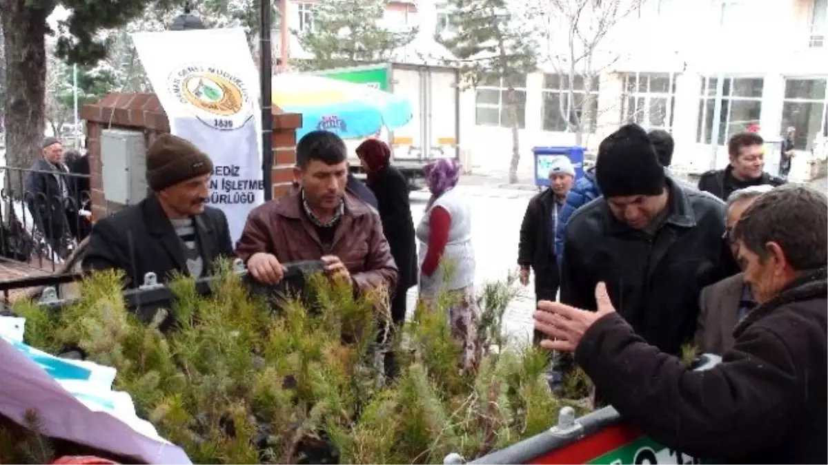 Gediz Orman İşletme Müdürlüğü 2 Bin 600 Adet Ağaç Fidanı Dağıttı