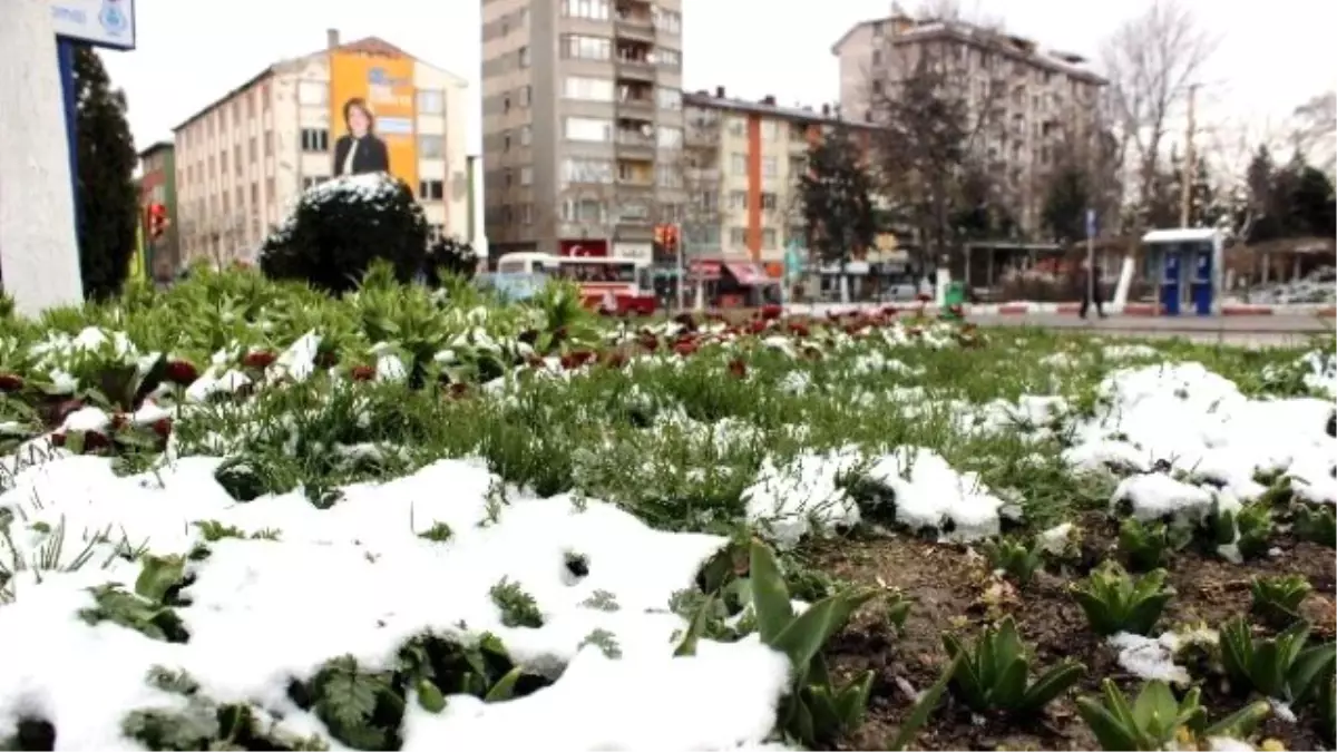 Kütahya\'ya Mart Karı