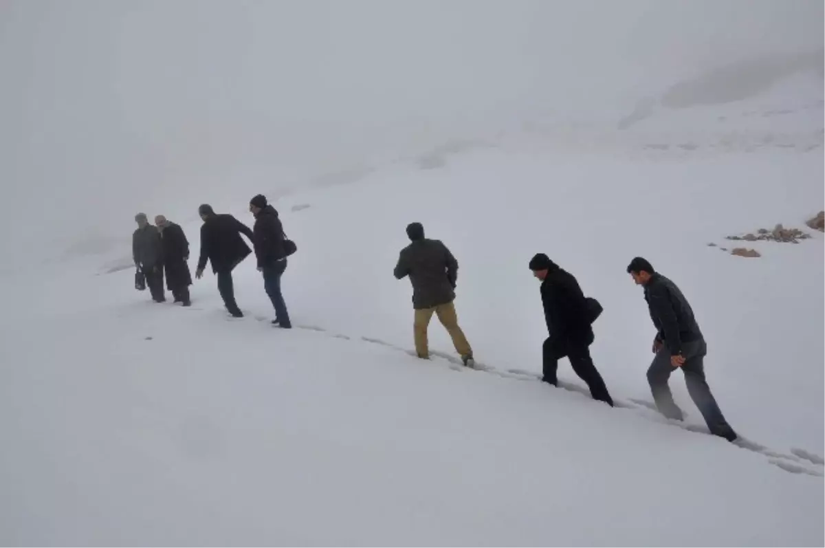 Nemrut\'ta Çözüm Sürecine Destek