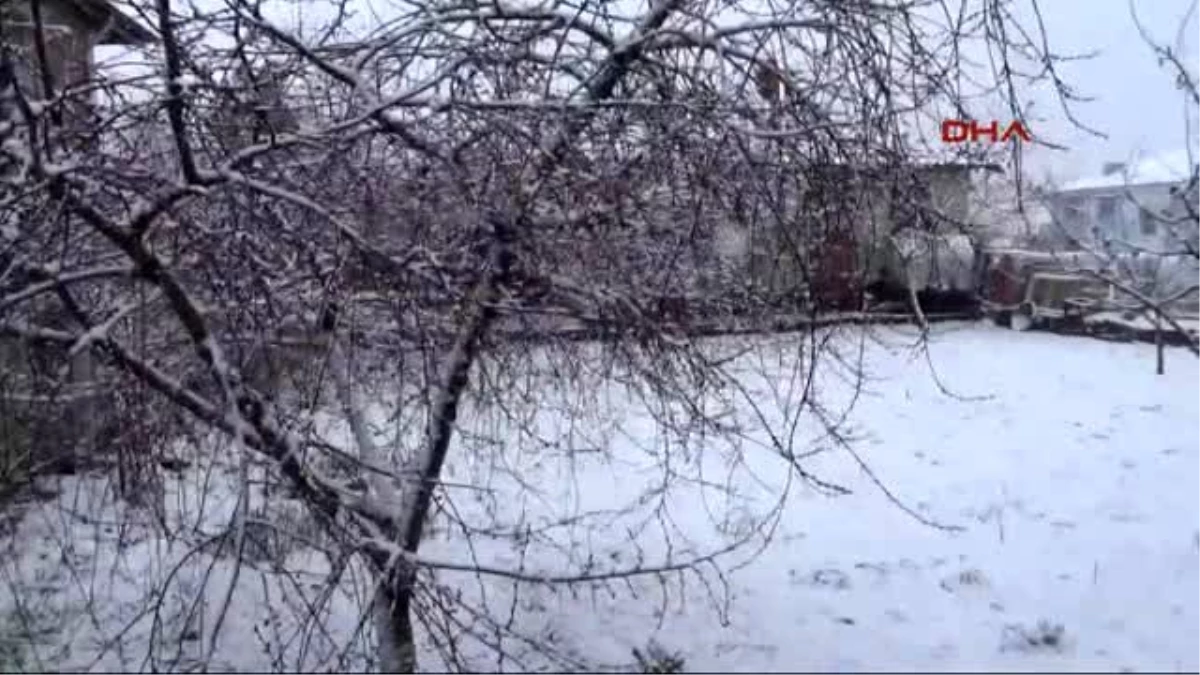 Yozgat - Erken Tomurcuklanan Kayısıyı Kar Vurdu
