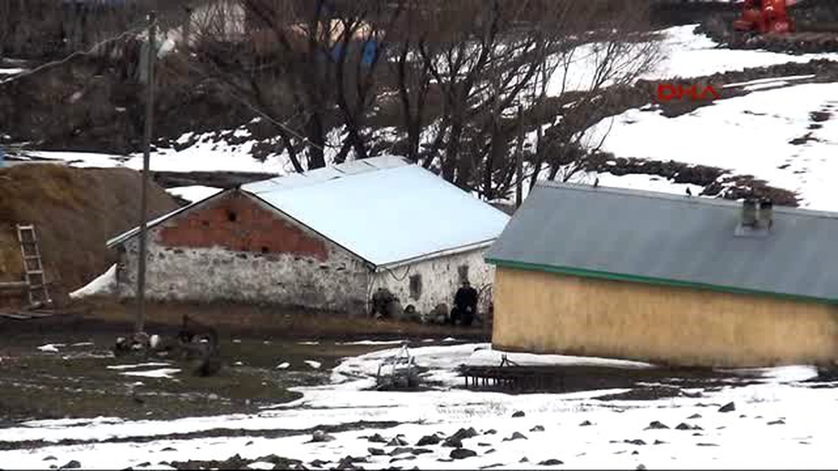 Kredili Koyun Aldılar, Borç Ödemek İçin Gurbete Gittiler