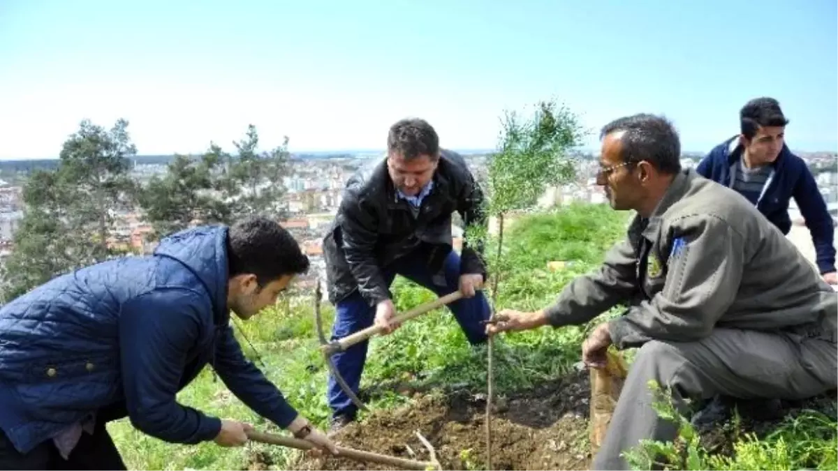 Agd\'den Türkbeleni\'ne Çanakkale Şehitleri İçin Fidan